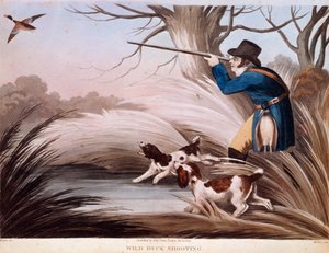 Scene of Duck Hunting in England by Unknown artist