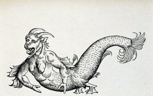 Sea devil, supposedly captured in the Adriatic Sea at the beginning of the 15th century - according to Gesner