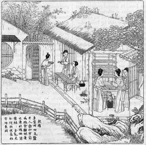 Silk and Silkworm in China: Separation of the worm that wants to spin. Engraving in 