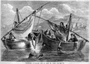 Sponge fishermen on the Syrian coast in 1867