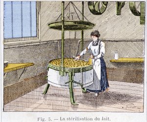 Sterilization of milk - engraving, late 19th century by Unknown artist