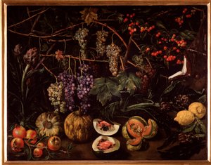 Still life with grapes and squashes