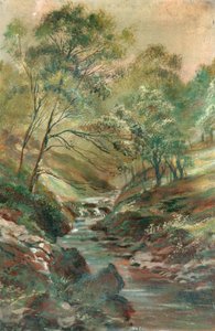 Stream through a Wood by Unknown