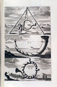 Study of phonology from Pronurghia nova