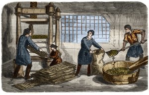 Sugar manufacturing: extraction of juice from beet pulp. The pulp is stuffed in bags that are stacked under the tray of a hydraulic press. Engraving from 1859 in 