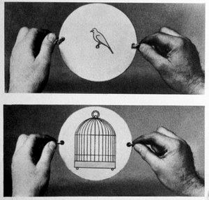 Thaumatrope: In 1825 John Ayrton Paris Marketed His Magic Disc the Thaumatrope (Miracle Wheel) by Unknown artist