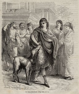 The Dog of Alcibiades - engraving from 1864