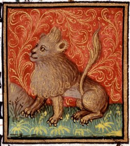 The Lion. Miniature of a horoscope. 15th century manuscript. Bibl. Trivulziana, Milan.
