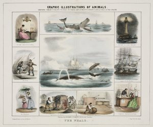 The Whale, c. 1845