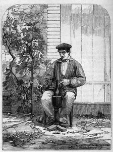 The bottling of Champagne wine. Engraving from 1864
