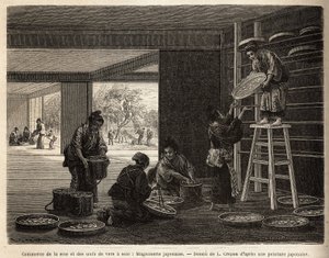 The Breeding and Trade of Silk Worm Cocoons