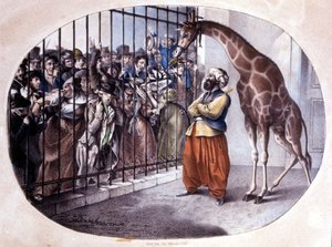 The curious crowd rushed to see a giraffe behind a gate. Lithograph by Danhaaren. 1829 by Unknown artist