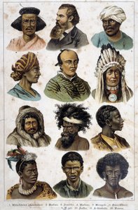 The different human races - in "Natural histories of mammals", ed. Schreiber