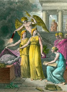 The medicine led by the study has new anatomical observations