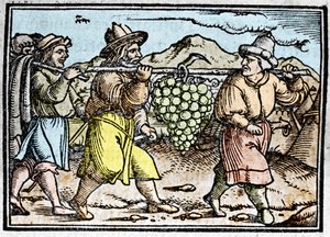 The return of Joshua and Caleb with a huge bunch of grapes from the land of Canaan (Promised Land). Chronicle by Johann Stumpff Den edlen strucen besten fromen