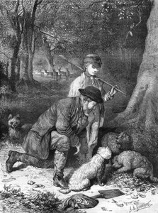The Truffles. Engraving from 1870.