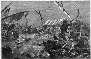 Tuna fishing with the trap on the Provence coast in France by Unknown artist