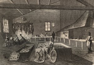 View of Mr. Gueyton