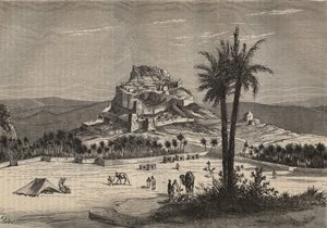 View of Oued el Golea in Algeria in the south of the province of Oran at the end of the 19th century (engraving) by Unknown artist