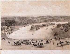 View of the Bois de Boulogne in Paris