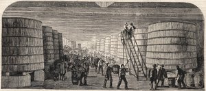 View of the Cellar at the Chateau - Lafitte in 1860