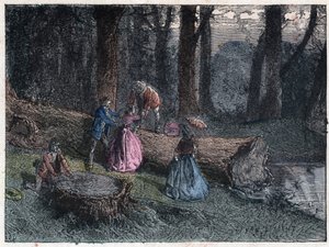 Walkers try to calculate the age of a dead oak by studying the tree