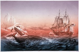Whaling vessel failed to rescue its whale capsized boats by Unknown artist