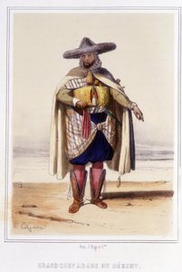 Great Arab chief of the desert during the second half of the 19th century by Unknown artist