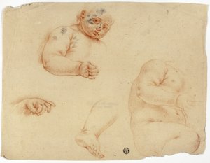 Sketches of a Child: Half-Length, Torso, Foot, Hand