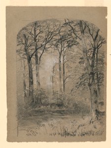 Woodland Study