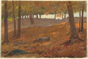 Woods in Autumn