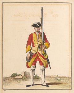 29th Regiment of Foot