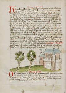 A Bird Perched in a Tree near a Town by Unknown artist