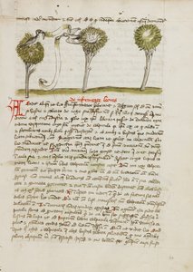 A Goshawk in a Tree and a Nightingale Flying Away from its Nest by Unknown artist