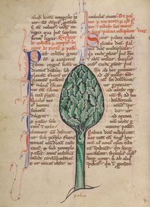 A Palm Tree by Unknown artist