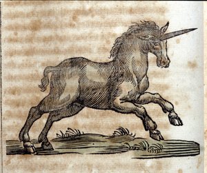 A unicorn, mythological animal - Engraving from a work by Athanasius Kircher