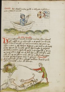 An Elderly Man in Prayer in a Boat; A Cat in a Tree under which is a Fox by Unknown artist