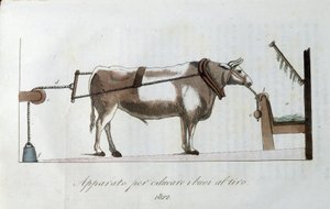 Apparatus for accustoming oxen to the line by Unknown artist