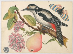 Bird, Butterfly, and Pear by Unknown artist