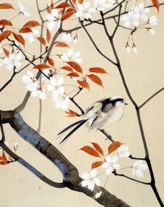 Bird and Cherry Tree in Bloom - Japanese Drawing by Riou Chim, Late 19th Century by Unknown artist