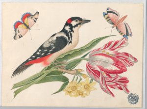 Black-and-White Mottled Bird on Tulip Stem, with Daffodils and Butterflies