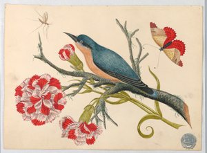 Blue Bird on Branch with Carnations and Insects