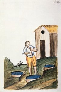Blue dye tray used to dye wool, from the book Trujillo del Peru or Codice Martinez Compañón, by Baltazar Martinez Compañón y Bujanda, bishop of Trujillo (1782-1785)