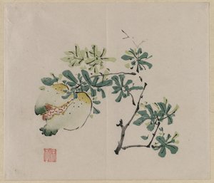 Branch with Pomegranate