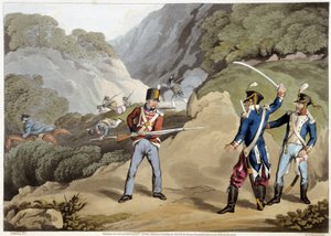 British soldier captured two French officers at the Battle of the Pyrenes - in 