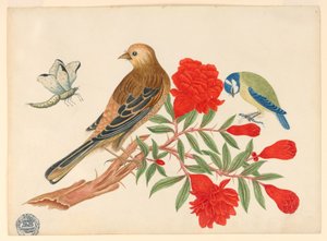 Brown-and-Black Bird and Blue-and-Yellow Bird on Branch with Red Blossoms, Hunting Insects