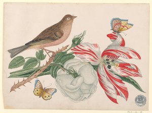 Brown Bird on Branch with Rose, Tulip, and Insects
