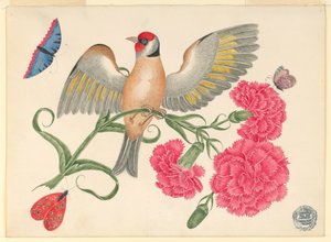 Brown Bird with Red Head on Carnation Stem with Butterflies