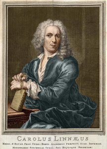 Carl Von Linné Swedish naturalist and writer (1707 - 1778)
