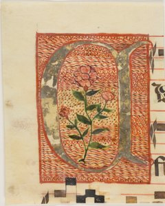 Decorated Initial "A" with Flower from a Manuscript by Unknown artist